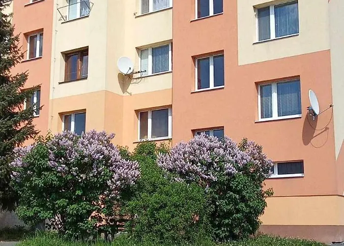 Apartamento New Selina